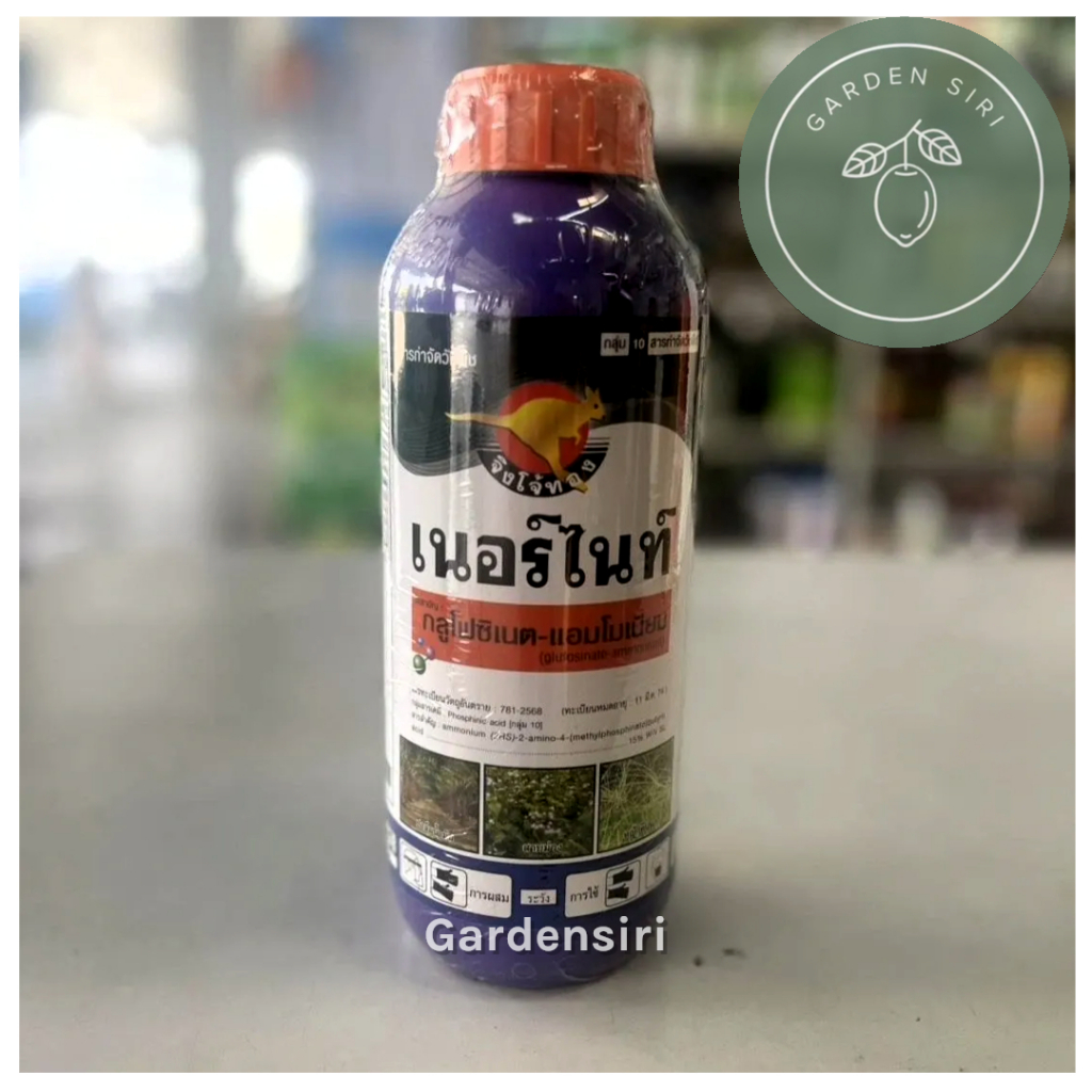 เนอร์ไนท์ ขนาด4ลิตร (กลูโฟซิเนต-แอมโมเนียม 15%) ตราจิงโจ้ทอง