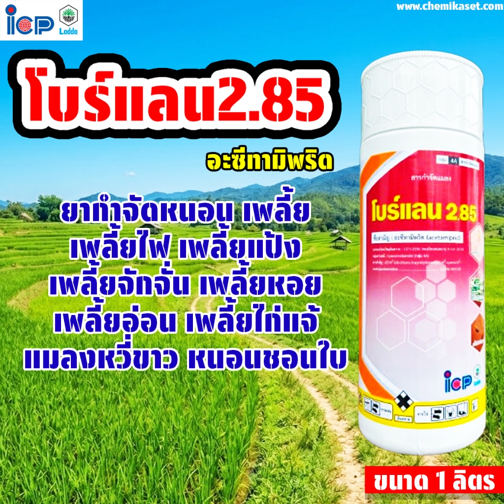 โบร์แลน 285 ขนาด 1 ลิตร อะซีทามีพริด ป้องกันกำจัดเพลี้ยไฟ เพลี้ยแป้ง แมลงหวี่ขาว เพลี้ยจักจั่น