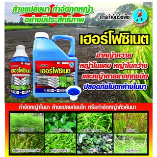 เฮอร์โฟซิเนต ขนาด 4 ลิตร (น้ำฟ้า) กลูโฟซิเนตเผาไหม้กึ่งดูดซึม