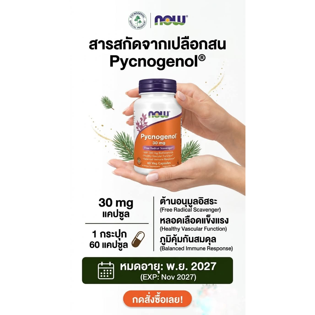 NOW FOODS Pycnogenol 30 mg  60 แคปซูล