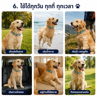 ฟรีสลักชื่อและเบอร์โทร ปลอกคอสุนัขแมวแบบปรับได้ ป้ายชื่อไม่หลุด กันน้ำ ทนต่อการใช้งาน ใส่สบาย ปลอดภัย ช่วยให้ค้นหาสัตว์เ