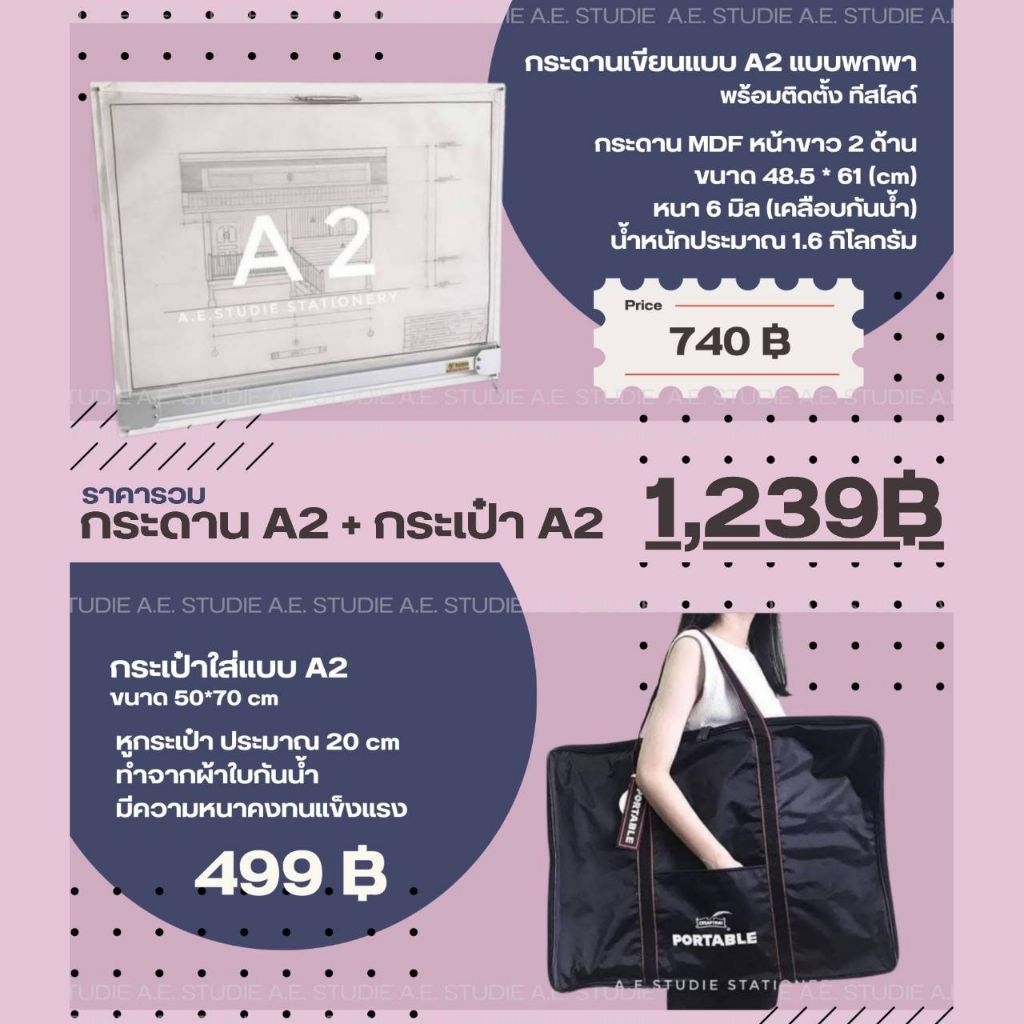 กระดานเขียนแบบ (A2) + กระเป๋าเขียนแบบ (A2)