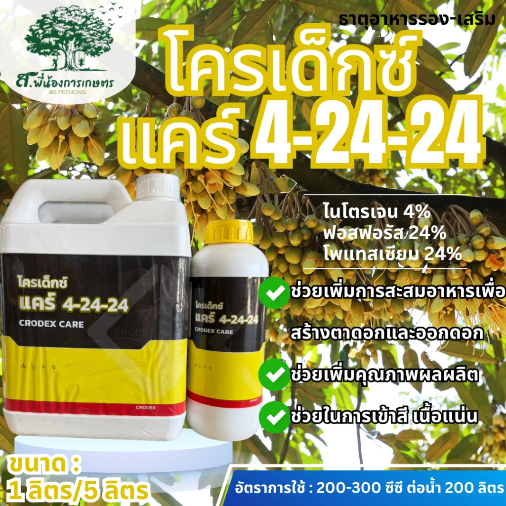 โครเด็กซ์ แคร์ 4-24-24 ปุ๋ยเหลวทางใบ ขนาด 1 ลิตร/5 ลิตร เพิ่มการสะสมอาหาร กระตุ้นการออกดอก เพิ่มจำนวนดอก ช่วยดอกสมบูรณ์