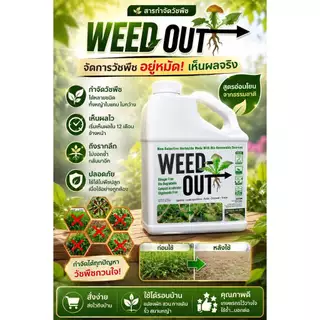 🌿 WEEDOUT นวัตกรรมเกษตรสีเขียว ขนาด 1,000ml. ส่งฟรี ของแท้ ดูแลแปลงปลูกอย่างมีประสิทธิภาพ ลดภาระการกำจัดหญ้า