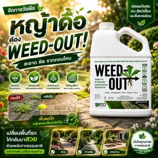 🌿 WEEDOUT นวัตกรรมเกษตรสีเขียว ขนาด 1,000ml. ส่งฟรี ของแท้ ดูแลแปลงปลูกอย่างมีประสิทธิภาพ ลดภาระการกำจัดหญ้า