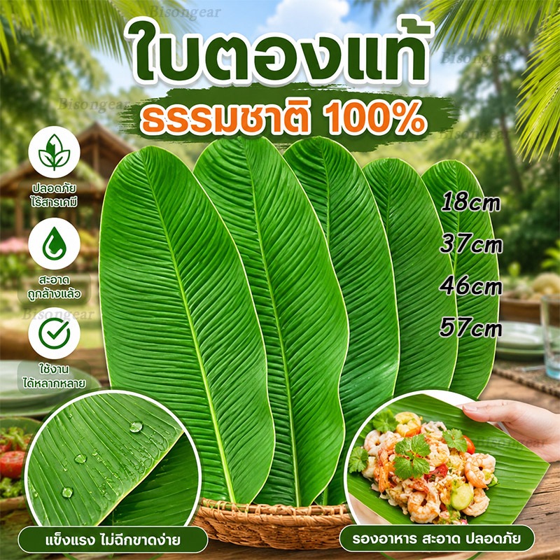 ใบตองปลอม S/M/L ใบตองพลาสติก แผ่นปูใบตองจำลอง ใบตองเสมือนจริง ใบตองเทียม ใบกล้วยจำลอง