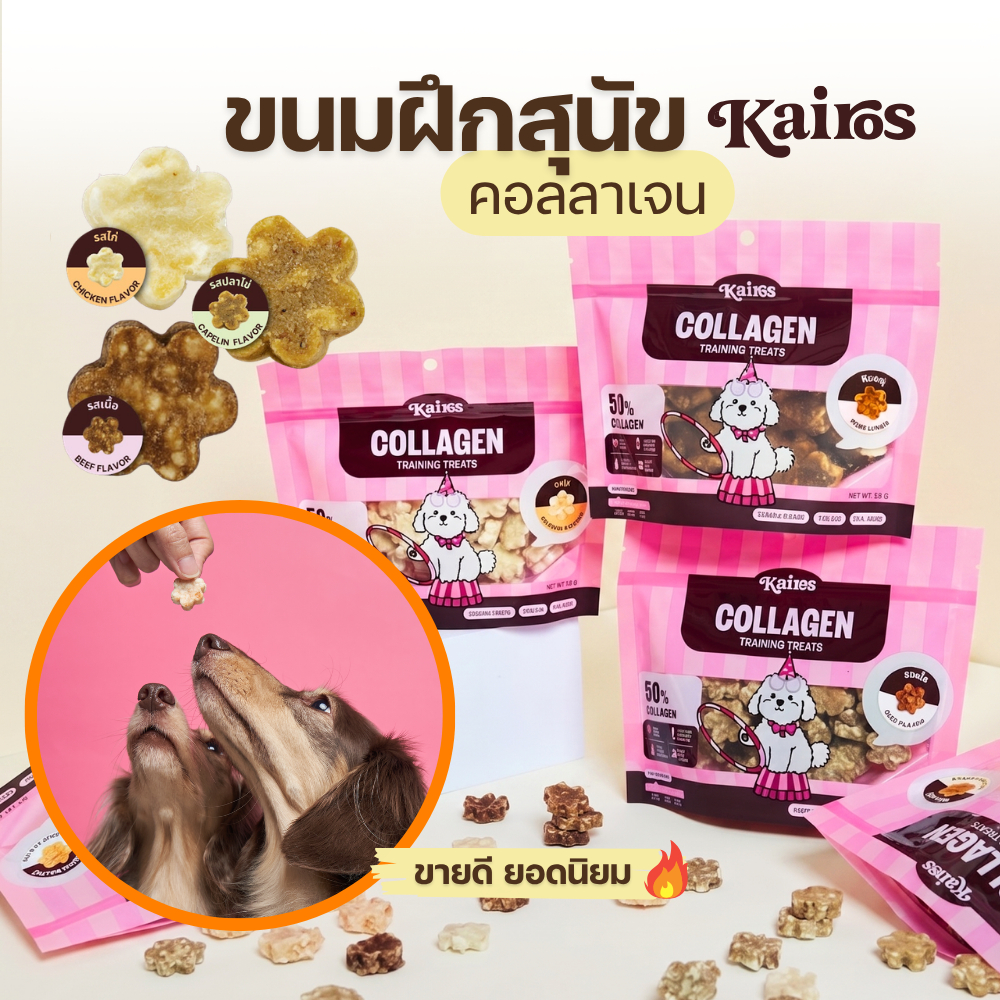KAIROS รวมขนมฝึกสุนัข ขนมหมา ให้เป็นรางวัล รสไก่ ตับหมู เนื้อ ปลา (human grade) หอม