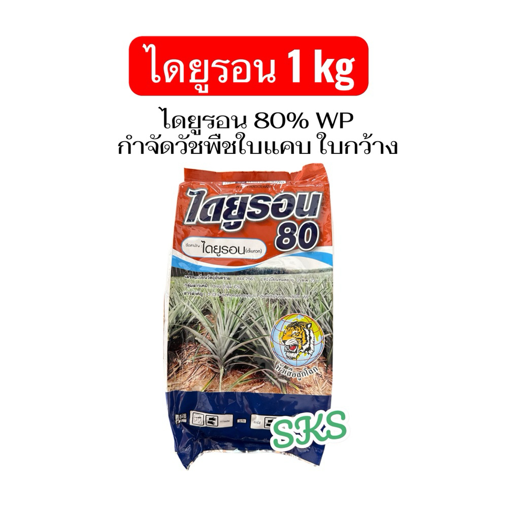 ไดยูรอน 80 ขนาด 1kg กำจัดวัชพืชใบแคบ หญ้าปากควาย หญ้าตีนนก ใบกว้าง หญ้าสาบม่วง