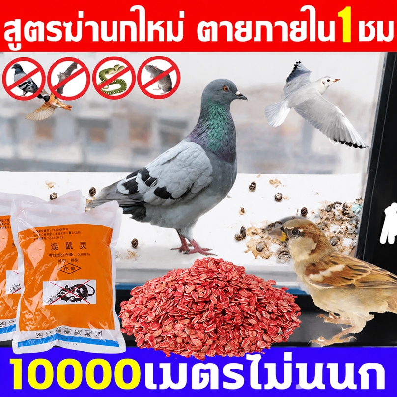 ยาเบื่อ นกพิราบ เหยื่อกำจัดนกพิราบ นกกระจอก นกกระจิบ ยาเบื่อนก สูตรใหม่ 100%ได้ผล  ยาเบื่อนกพิราบ