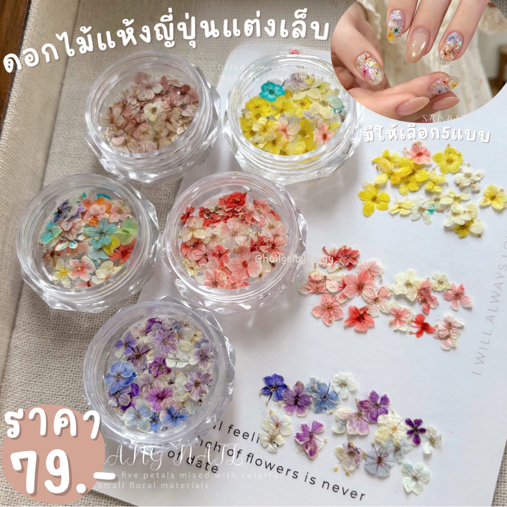 ดอกไม้แห้งญี่ปุ่นแต่งเล็บ🌸พร้อมส่งมีให้เลือก5แบบ🌸ดอกไม้แห้งสไตล์ญี่ปุ่นแต่งเล็บ