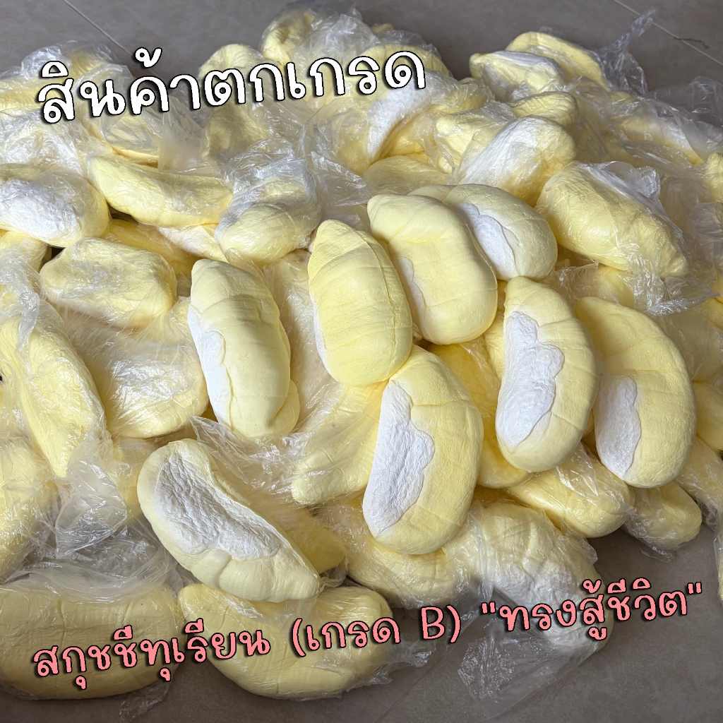 สกุชชี่ทุเรียน ตกเกรด (เกรด B) "ทรงสู้ชีวิต" หน้าตาไม่สวย แต่บีบมันส์มือมาก! (ความฟู 40-70%) AA-00
