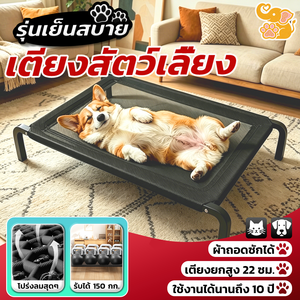 🐶เตียงน้องหมา🐶 ที่นอนสัตว์เลี้ยง ผ้าตาข่ายระบายอากาศดี ยกสูงกันความชื้น แห้งไว ไม่อับ ป้องกันกลิ่น pet bed