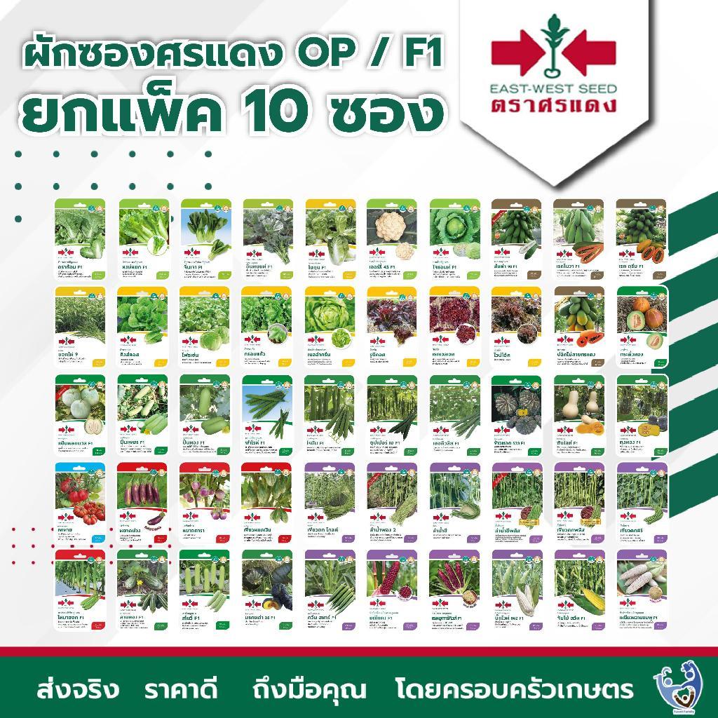ผักซองศรแดง F1 / OP ขายส่ง ยกแพ็ค รวม เมล็ดพันธุ์ตราศรแดง (ชุดที่ 2) (1แพ็ค=10ซอง)