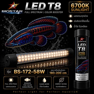 หลอดไฟใต้น้ำT8 BIOSTAR LED T8 6700K SUNLIGHT เปลี่ยนตู้ปลาธรรมดา ให้สวยโดดเด่นในทันที! ขนาด BS-26/36/52/72/92