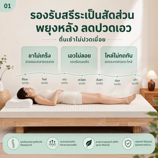 ที่นอนยางพาราแท้ 100% หนา 3 นิ้ว ลดแรงกดทับ บอกลาอาการปวดหลัง ระบายความร้อนอย่างดี สัมผัสนุ่มแน่น ส่งฟรี