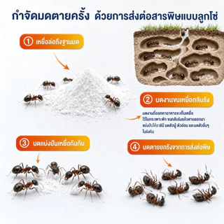 🐜ไล่แมลงทันที ไม่กลับมากวน!🐜กำจัดมด ยาฆ่ามด ฆ่ามด ขจัดมดหมดตัว ไม่ปรากฏอีกต่อไป ไล่มด กำจัดมด