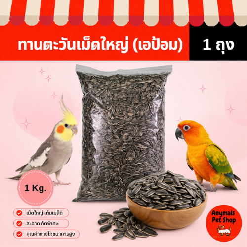 (ขนาด 1 kg.) ทานตะวันเม็ดใหญ่ อุดมไปด้วยไขมัน โปรตีน และแคลอรี่ อาหารนก ( เอป้อม APOM )