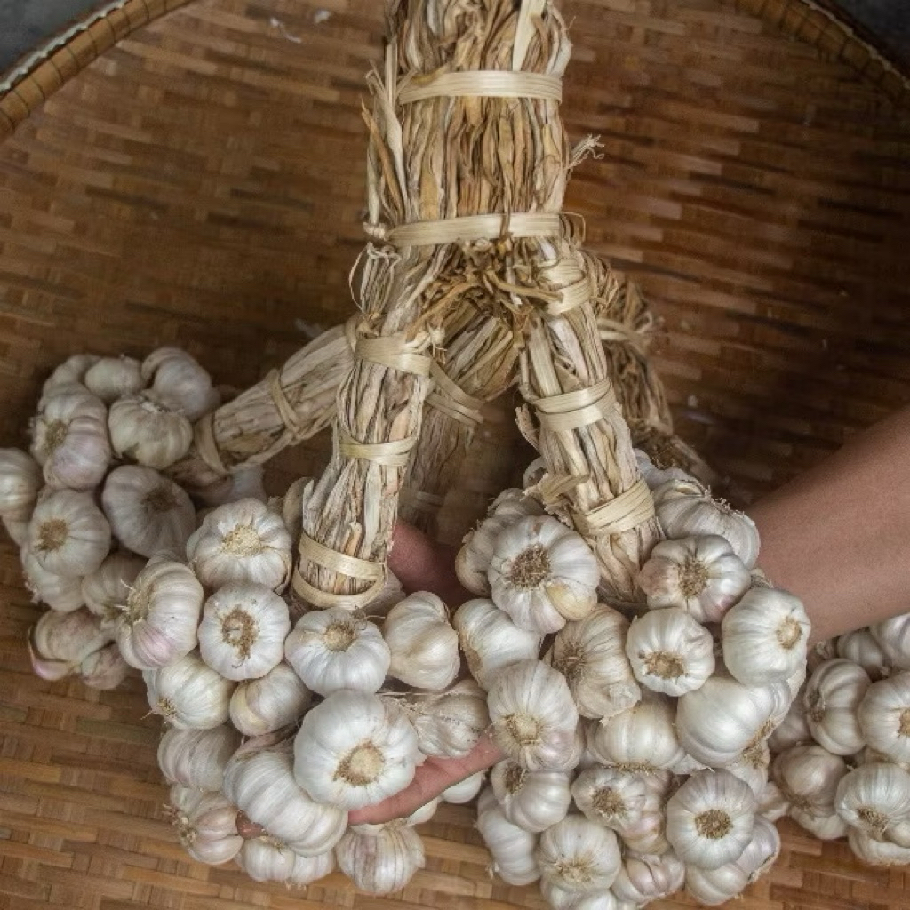 🧄 กระเทียมไทยแท้ หอมฉุน กลีบแน่น คุณภาพดี 🧄