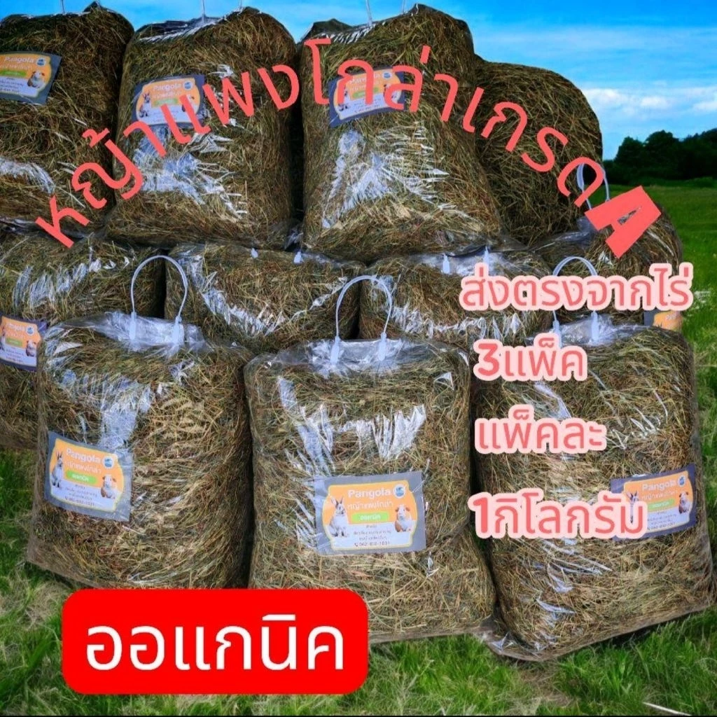 หญ้าแพงโกล่าแห้ง 1kg สำหรับสัตว์เลี้ยง
