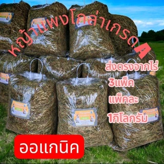 หญ้าแพงโกล่าแห้ง 1kg สำหรับสัตว์เลี้ยง