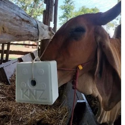 #ก้อนเกลือแร่ KNZ แร่ก้อนknz 1ลัง= 20 Kg (4 ก้อน/ก้อนละ 5 Kg)  #เกรียงศักดิ์เมล็ดและท่อนพันธุ์หญ้าอาหารสัตว์