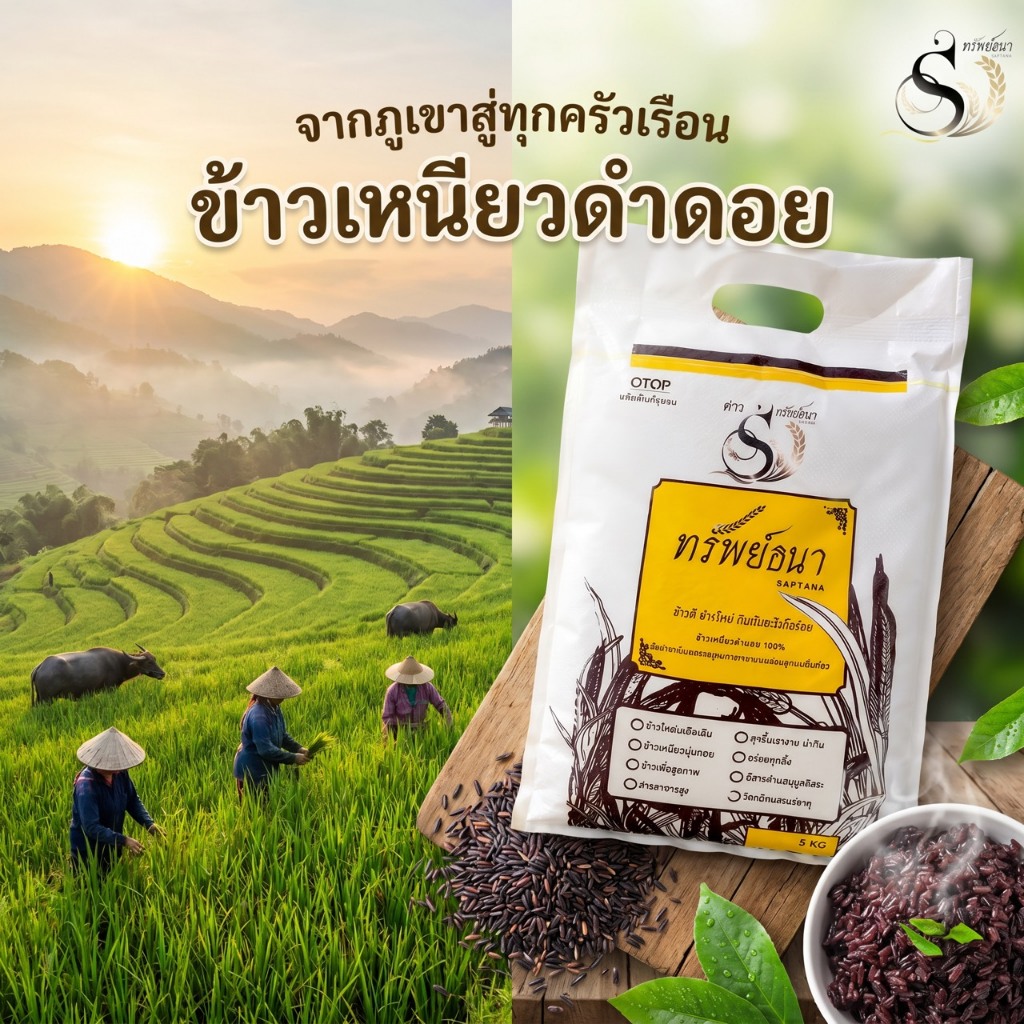ข้าวเหนียวดำดอย น้ำหนัก 5 กิโลกรัม 2 กระสอบ ข้าวเหนียวใหม่ ข้าวเหนียวอ่อน ข้าวหอม