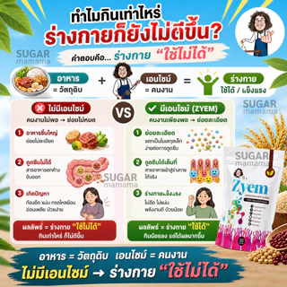 *เซ็ตกรดไหลย้อน* Zyem Synbc30 PaaEase PaaVill Kcal ป๋าวิล ป๋าอีส หมอนอกกะลา สันติมานะดี santimanadee ไซม์เอ็ม ซินบีซี