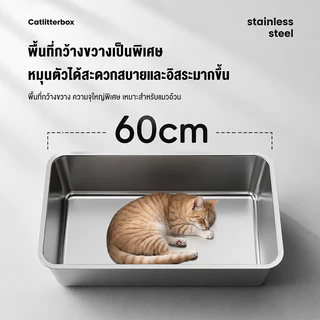 ห้องน้ําแมวใหญ่ กระบะทรายแมวสแตนเลส ถาดทรายแมว กระบะทรายแมว cat litter box ห้องน้ำแมว ส้วมแมวใหญ่ ทำความสะอาดง่าย