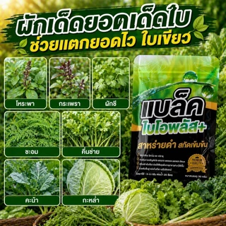 แบล็คไบโอพลัส สาหร่ายดำเข้มข้น ตัวช่วยให้พืชทุกชนิดโตไว ใบเขียว