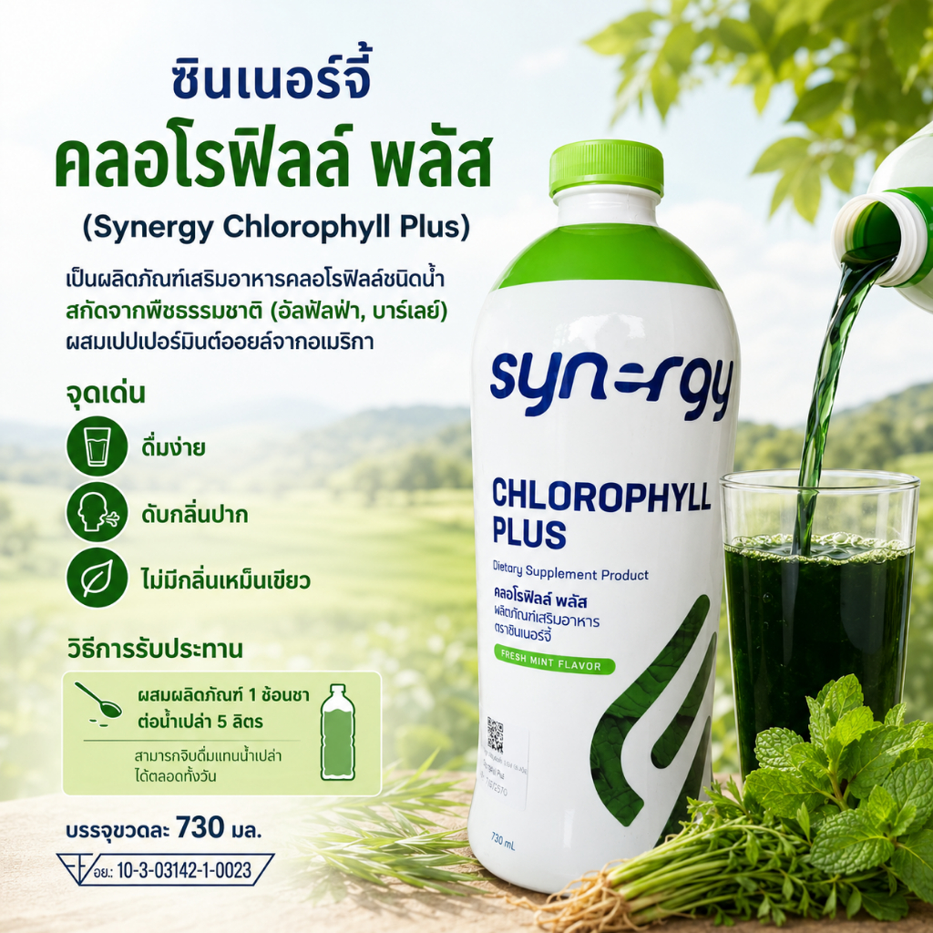 คลอโรฟิลล์ พลัส ผลิตภัณฑ์เสริมอาหาร ตราซินเนอร์จี้ SYNERGY