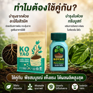ปุ๋ยโกยาว กรีนบูสท์ ฮิวมิค ปุ๋ยอินทรีย์ เร่งราก เร่งโต เพิ่มความเขียว ใบหนา ใบมัน แตกยอดใหม่ ฟอร์มสวย รากเดินดี บำรุงดิน