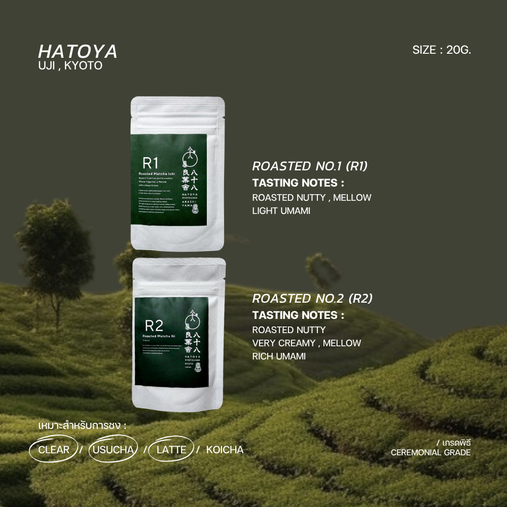 [Rei • เรย์]มัทฉะเกรดพิธี  HATOYA 🥜☁ "Roasted No.1,2" -