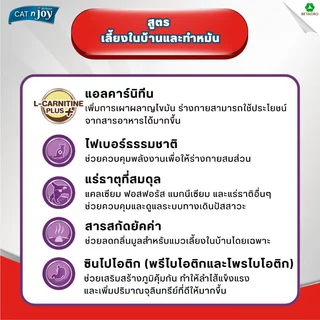 CAT n joy อาหารแมว สูตรเลี้ยงในบ้านและทำหมัน สำหรับแมวโต 1 ปีขึ้นไป รสแซลมอน ขนาด 400 กรัม