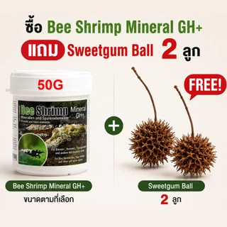 Salty Shrimp Bee Shrimp Mineral GH+ (ตักแบ่งจากกระปุกใหญ่) แร่ธาตุกุ้งเรดบี กุ้งแคระ FREE! Sweetgum Ball 2 ลูกรวม 46 บาท