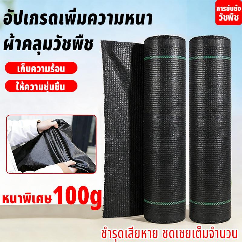 พลาสติกคลุมดินหนาขึ้น ผ้าคลุมหญ้า พลาสติกคลุมวัชพืช พืชคลุมดิน ขนาด2x50 1x100 2x100 3x50 สำหรับป้องกันหญ้าและจ