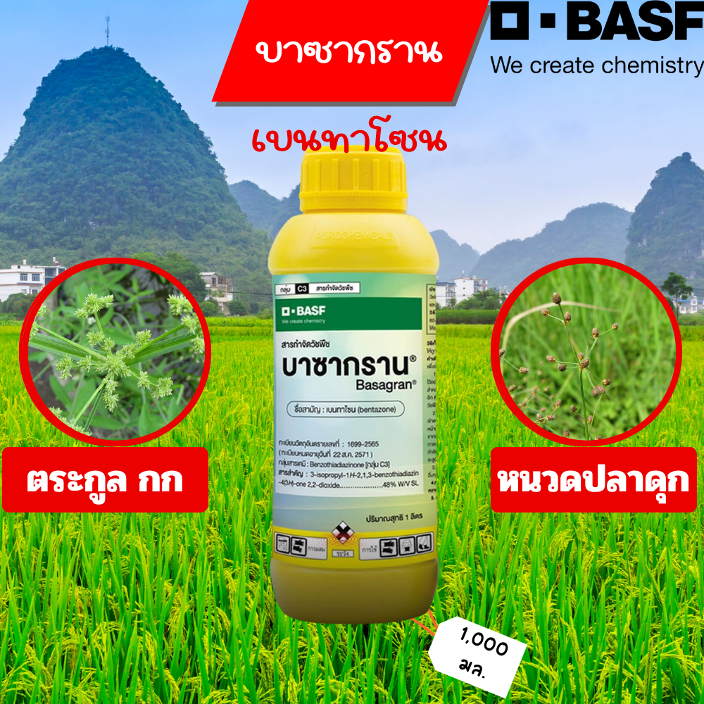 บาซากราน® 1 ลิตร สารกำจัดวัชพืชใบกว้าง ชื่อสามัญคือ เบนทาโซล (bentazon)