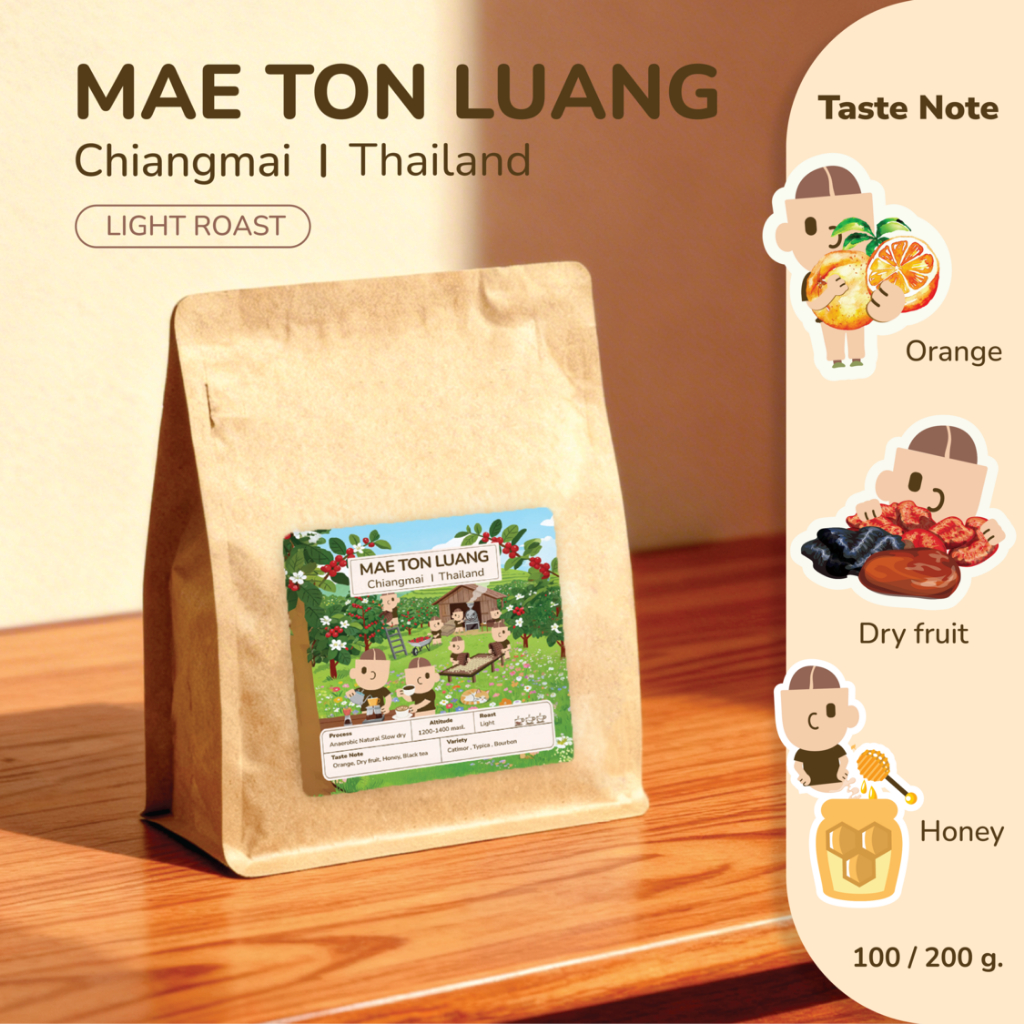 เมล็ดกาแฟคั่วอ่อน แม่ตอนหลวง จ.เชียงใหม่ Anaerobic slow dry process - 100% Arabica Coffee Beans