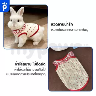 [🔥MidmonthSale]My Paws เสื้อผ้าสัตว์เลี้ยง ชุดน้องหมาน้องแมว มีไซส์ S-XL รุ่นคอปกลายแอปเปิ้ล