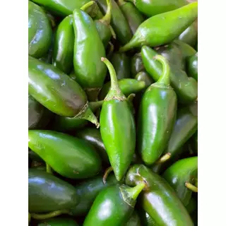 พร้อมส่ง พริกสด จาราปิโน่สด Fresh Jalapeno Mexican Pepper 1kg