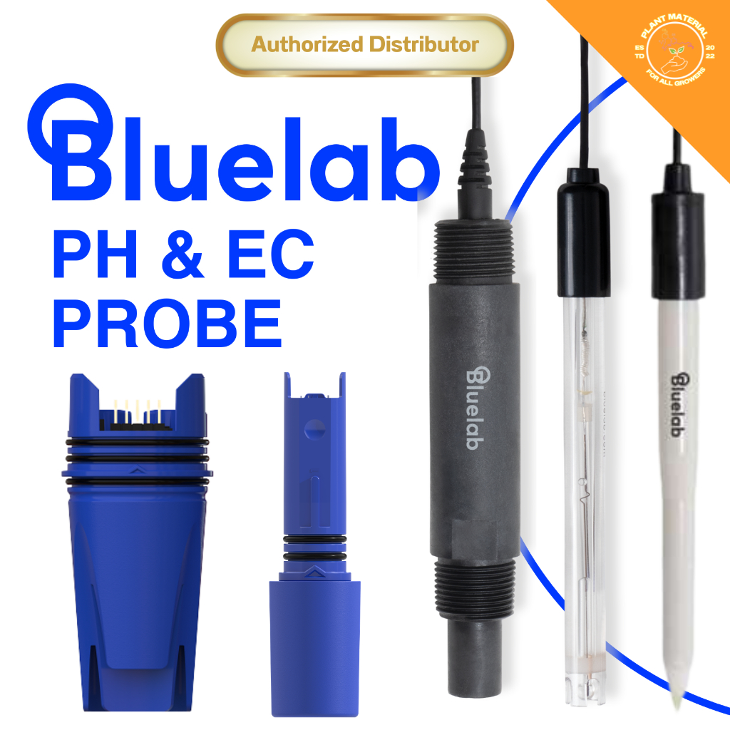 pH Probe - Bluelab [2เมตร, 5เมตร] ชุดหัววัดค่า pH น้ำ สำหรับเปลี่ยน ซ่อม Bluelab ซ่อมปากกาวัดค่า pH ปากกาวัดค่ากรด-ด่าง