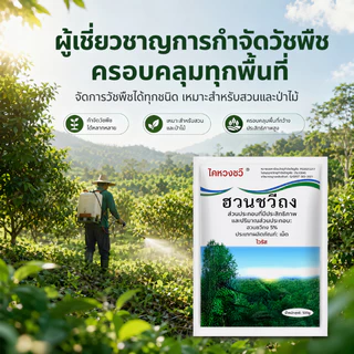 ยาฆ่าไผ่ ยาฆ่าหญ่ 500g ไม่ทำลายดิน รวดเร็ว ทนนาน ผงกำจัดต้นไม้ ผงกำจัดกอไผ่ ยาฆ่าตอ ไม้ ยาฆ่าไม่ไผ่ ยาฆ่าตอต้นไม้
