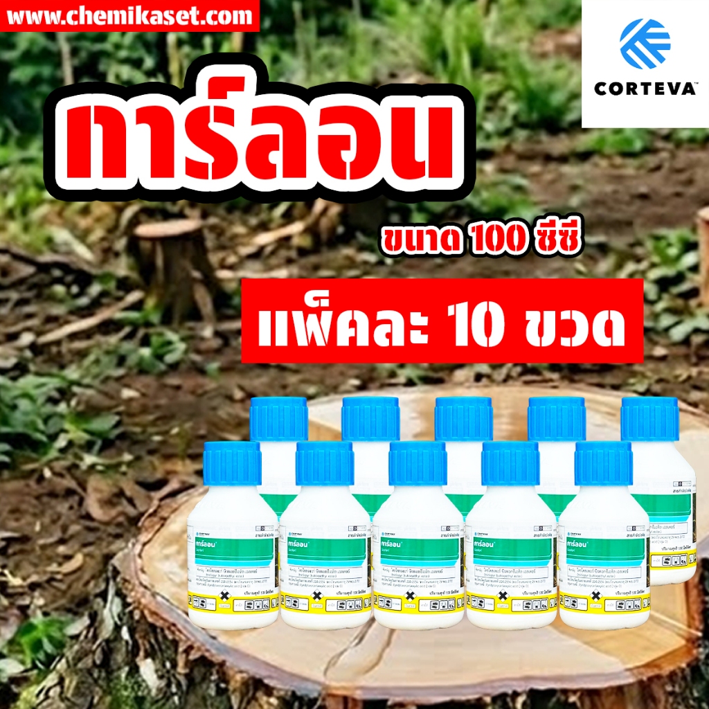 (แพ็ค 10 ขวด) ยาฆ่าตอ การ์ลอน 100 ซีซี กำจัดตอไม้ ยาฆ่าตอไม้ ยาฆ่ากระถิน ต้นไม้ใหญ่ ฆ่าตอ ส่งเร็ว