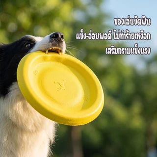 ของเล่นสุนัขออกกำลังกายลอยน้ำได้ ห่วงโยนรับจานบินและลูกบอล ช่วยคลายเครียด เสริมสร้างความสัมพันธ์กับเจ้าของ
