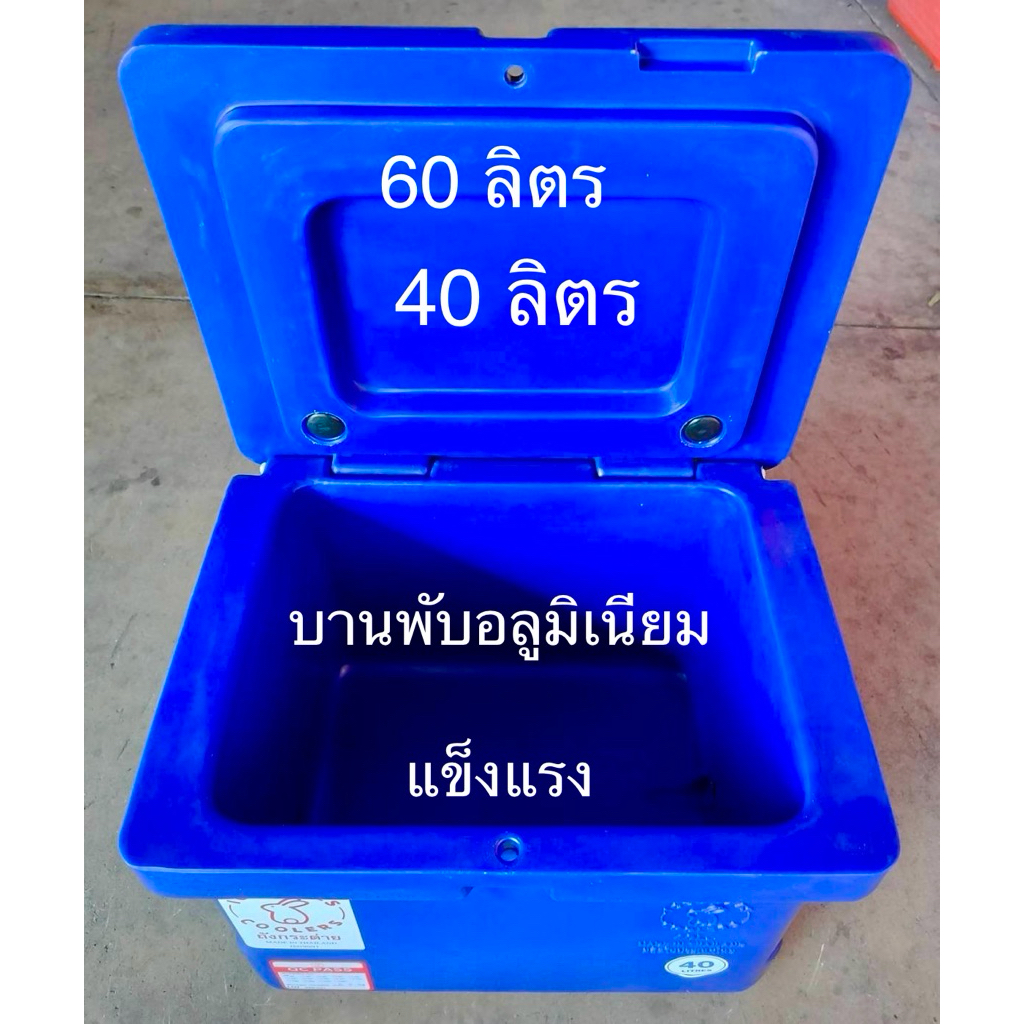 ถังแช่น้ำแข็ง  40 ลิตร 60ลิตร ตรากระต่ายวัสดุคงทน แข็งแรง สินค้าพร้อมส่ง มีเก็บปลายทาง (สั่งได้ครั้งละ1ใบ)