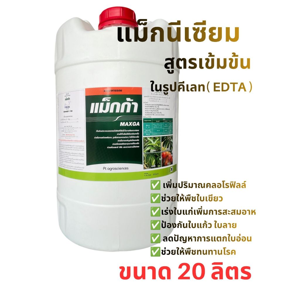 เเม็กนีเซียม 🌱🌱(แม็กก้า) สูตรเข้มข้นในรูปคีเลท( EDTA )+อะมิโน ช่วยให้ใบพืชเขียวเข้ม ธาตุอาหารรอง ธาตุเสริม 20ลิตร