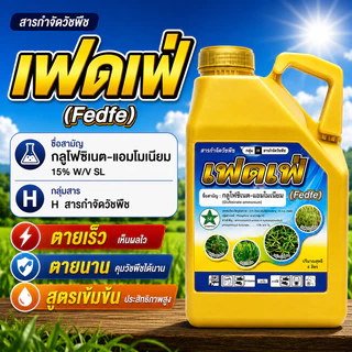 ยกลัง 6 แกลลอน เฟดเฟ่ ขนาด 4 ลิตร