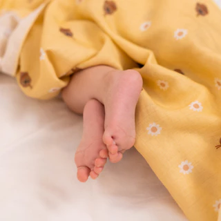 Saeson Baby x Lookbook Petite | Tencel™ Nursing Cloth (2 pcs/box)