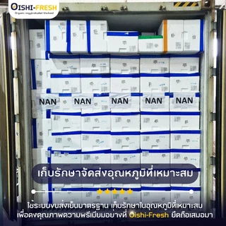 🛒Oishi-Fresh🥬ผักสลัดกรีนเรดโอ๊ค ปลอดสารพิษ 1 กก. รสชาติกรอบ สด ใหม่ ใยอาหารสูง ออร์แกนิค เคลมได้ 1-2 วัน