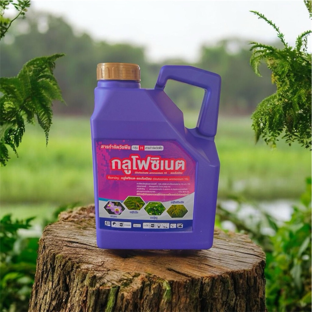 🍃 กลูโฟซิเนต15%🌵ขนาด 4 ลิตร🌱 จัดการและยับยั้งหญ้าใบกว้างและใบแคบ
