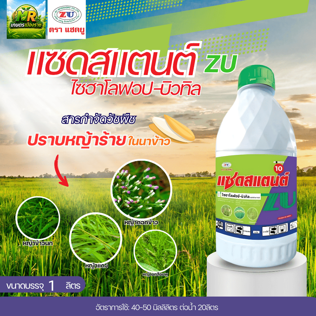 แซดสแตนต์  ไซฮาโลฟอบ บิวทิ 1L กำจัดหญ้าในนาข้าว #เกษตรเมืองราช
